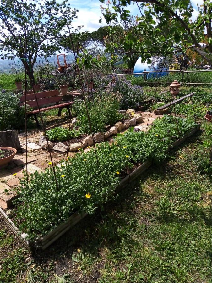 Baschi B&B La Gallinella Rossa מראה חיצוני תמונה