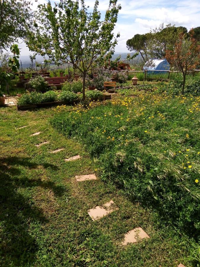 Baschi B&B La Gallinella Rossa מראה חיצוני תמונה