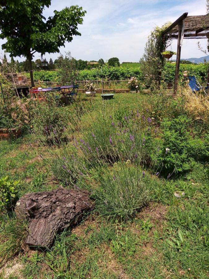 Baschi B&B La Gallinella Rossa מראה חיצוני תמונה