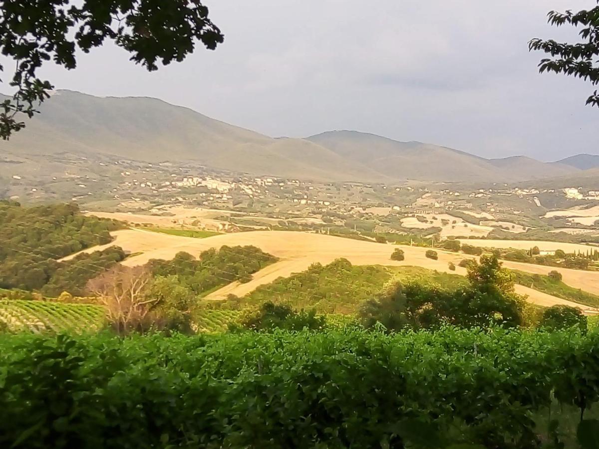 Baschi B&B La Gallinella Rossa מראה חיצוני תמונה