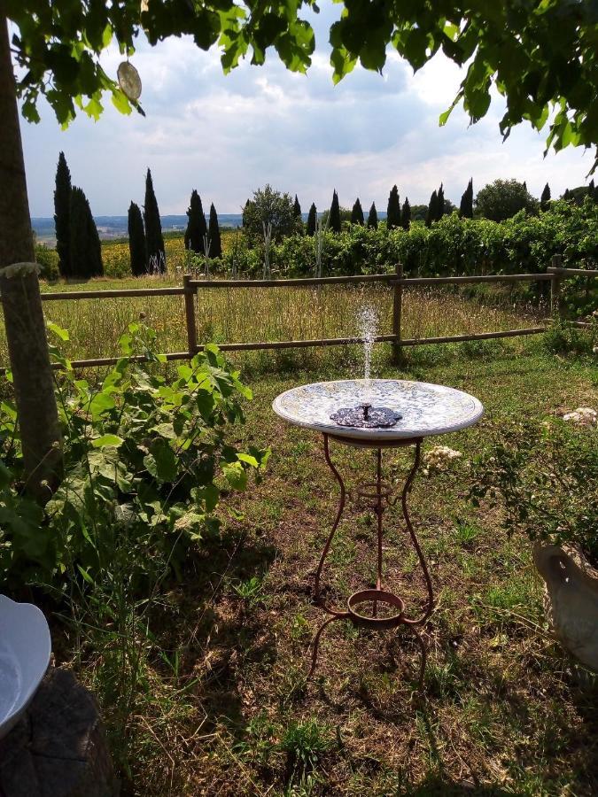 Baschi B&B La Gallinella Rossa מראה חיצוני תמונה