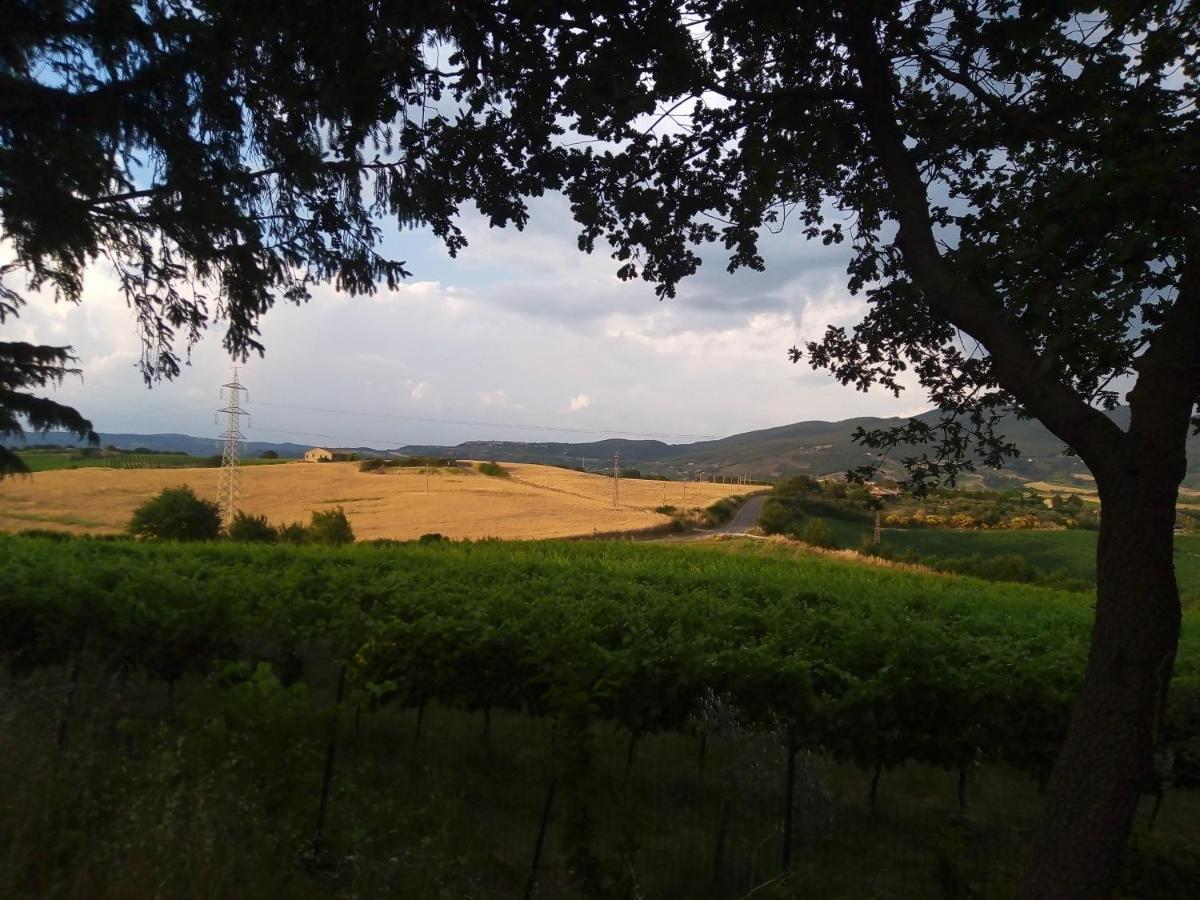 Baschi B&B La Gallinella Rossa מראה חיצוני תמונה