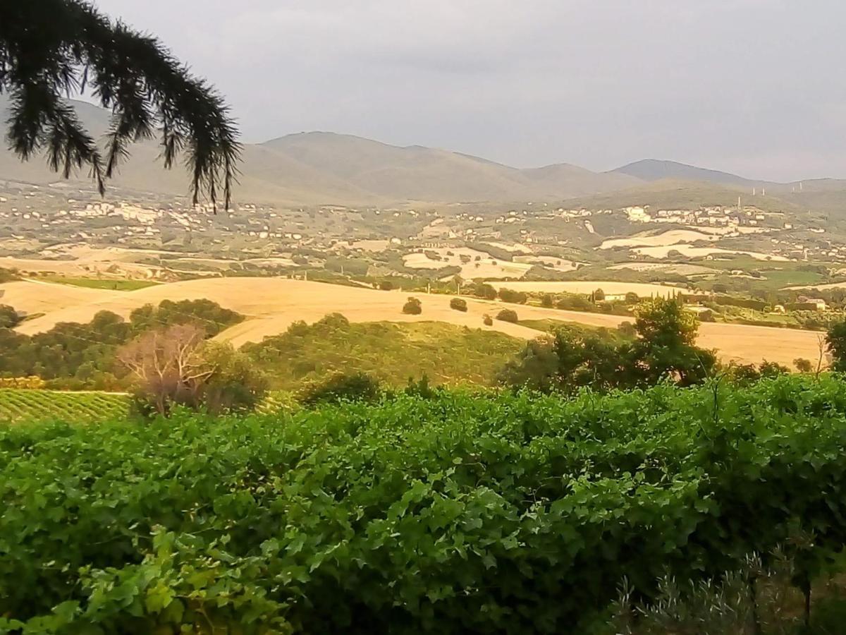 Baschi B&B La Gallinella Rossa מראה חיצוני תמונה