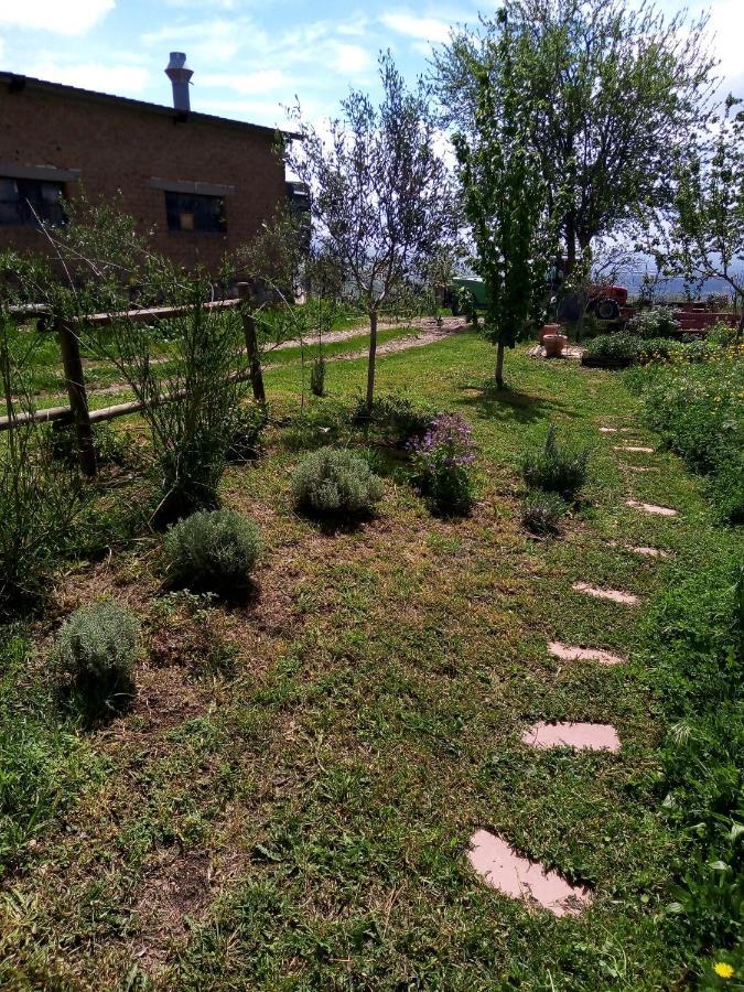 Baschi B&B La Gallinella Rossa מראה חיצוני תמונה