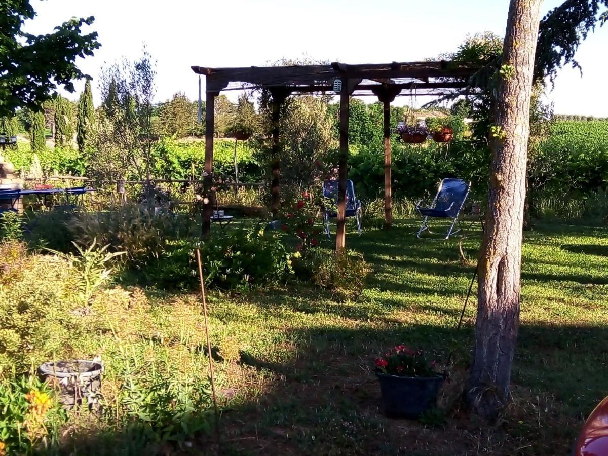 Baschi B&B La Gallinella Rossa מראה חיצוני תמונה