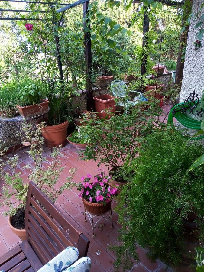 Baschi B&B La Gallinella Rossa מראה חיצוני תמונה