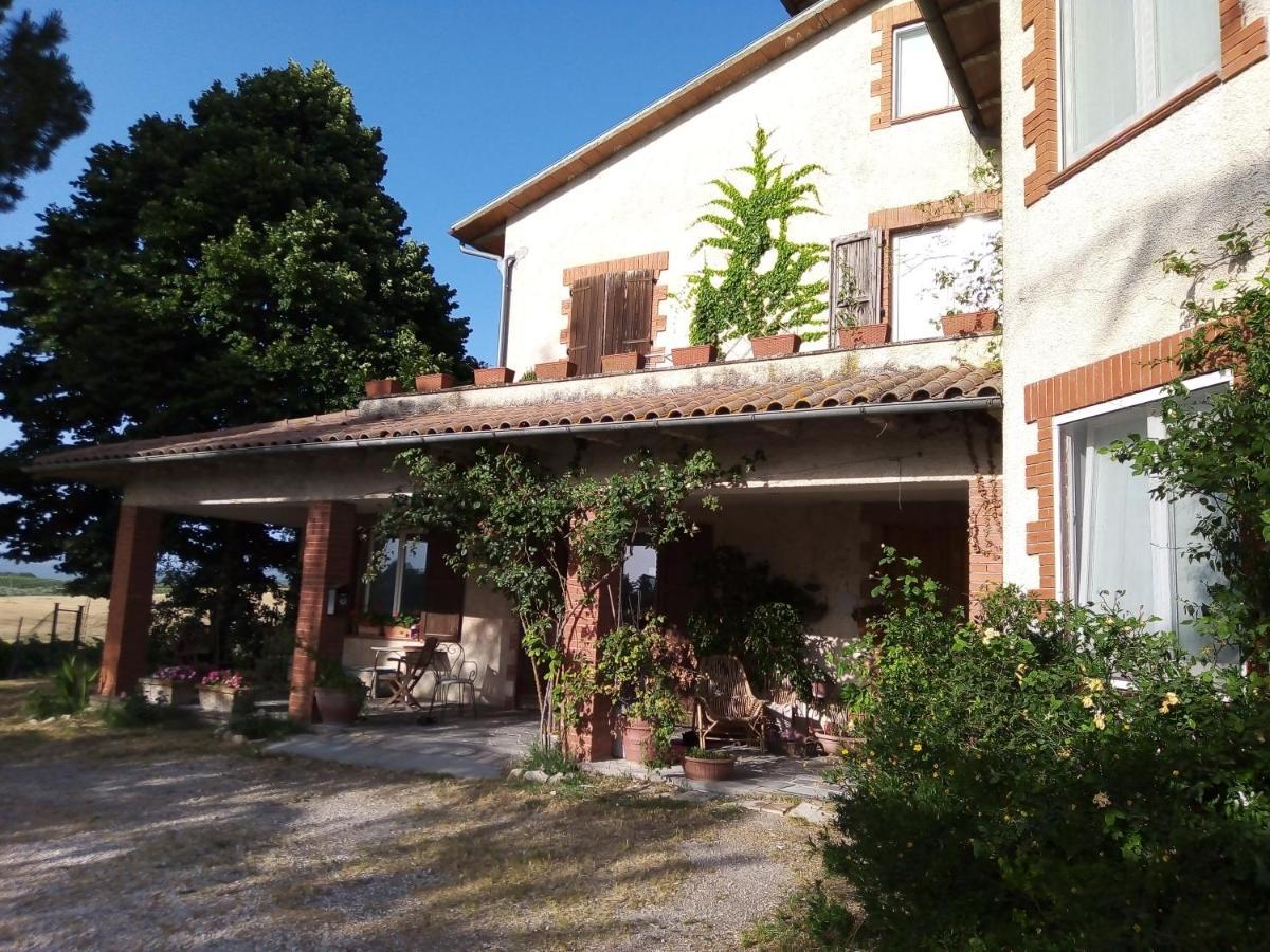 Baschi B&B La Gallinella Rossa מראה חיצוני תמונה