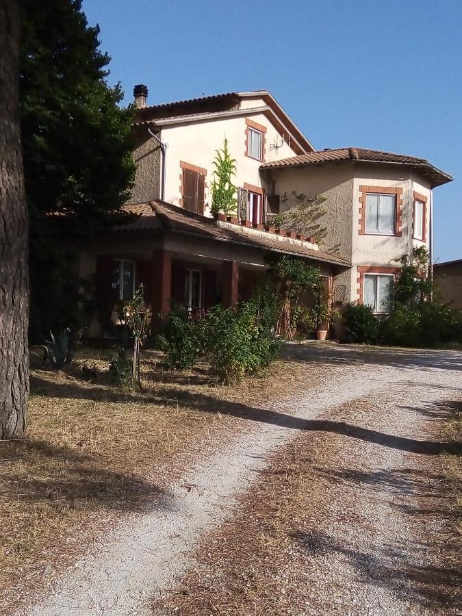 Baschi B&B La Gallinella Rossa מראה חיצוני תמונה
