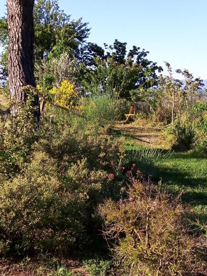 Baschi B&B La Gallinella Rossa מראה חיצוני תמונה