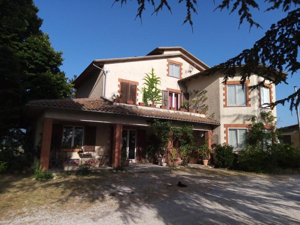 Baschi B&B La Gallinella Rossa מראה חיצוני תמונה